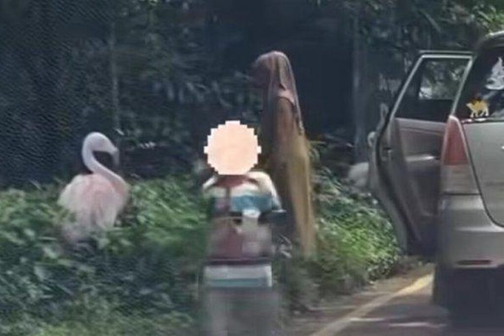 Taman Safari Indonesia, Dua Wanita Bawa 3 Anak Turun Dari Mobil