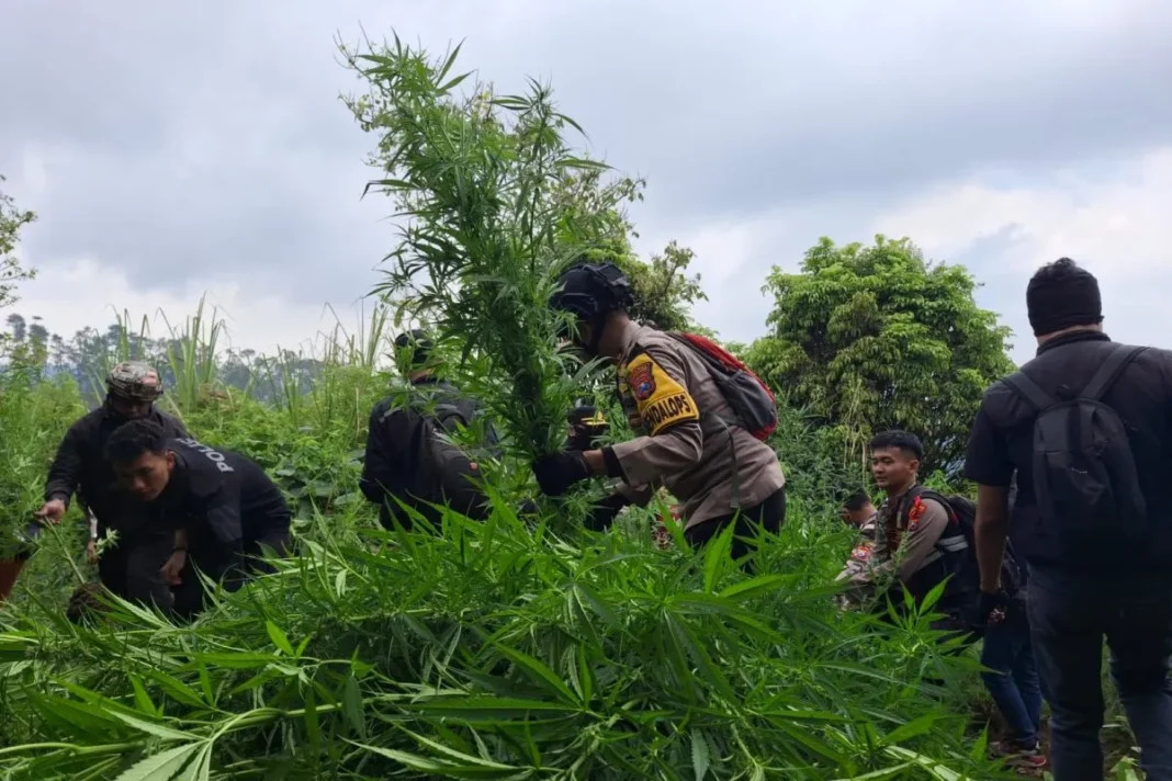 Disembunyikan di Lahan dengan Medan Terjal