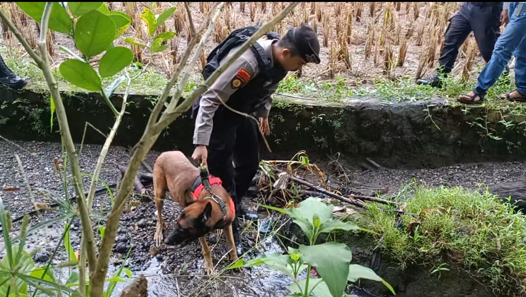 Kerahkan anjing pelacak untuk mencari pelaku pembunuhan tersebut