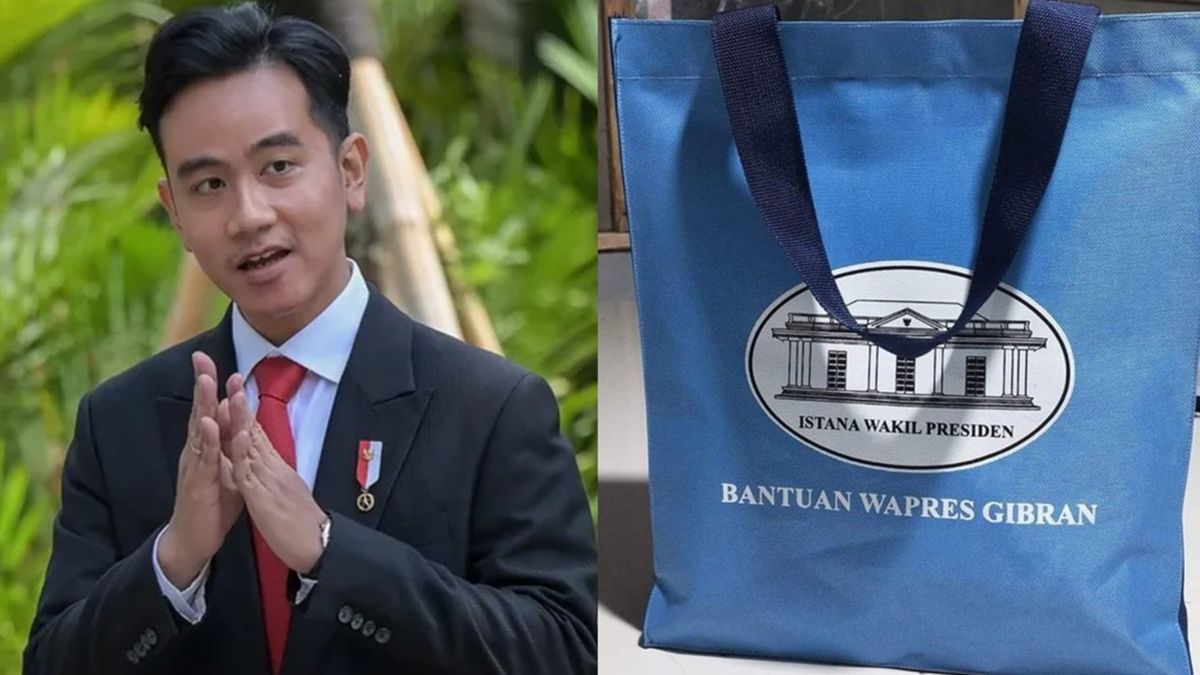 Viral Tas Biru Bertuliskan Bantuan Wapres Gibran untuk Korban Banjir